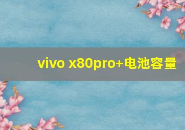 vivo x80pro+电池容量